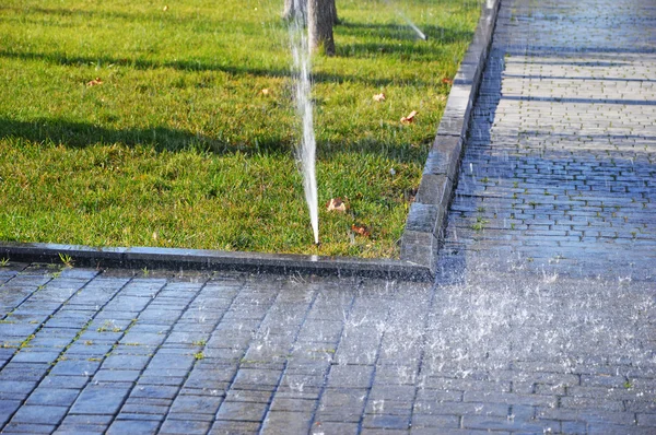 芝生のスプリンクラー — ストック写真