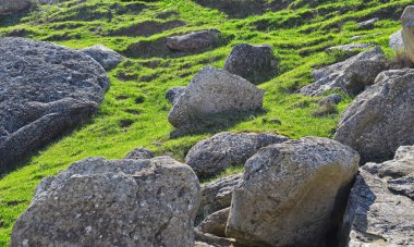 Çimenlerin üzerinde kayalık taş