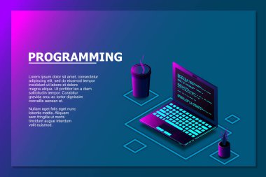 Programlama veya Yazılım Geliştirme web sayfası şablonu. Dizüstü izometrik görüntülü vektör illüstrasyonu ve ekranda program kodu. Programlama kavramı. vektör illüstrasyonu