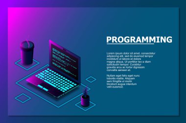 Programlama veya Yazılım Geliştirme web sayfası şablonu. Dizüstü izometrik görüntülü vektör illüstrasyonu ve ekranda program kodu. Programlama kavramı. vektör illüstrasyonu