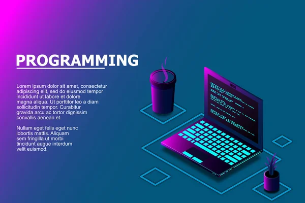 Programmering Eller Programvaruutveckling Webbsida Mall Vektorillustration Med Bärbar Isometrisk Och — Stock vektor
