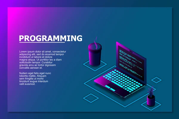 Programmering Eller Programvaruutveckling Webbsida Mall Vektorillustration Med Bärbar Isometrisk Och — Stock vektor