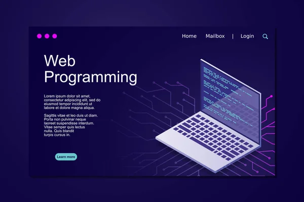 Web Programlama Vektörü Izometrik Çizimler Bilgisayar Ekranında Web Programlama Konsepti — Stok Vektör