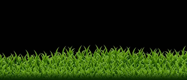 Green Grass Border Set Vector Illustration — Stock Vector