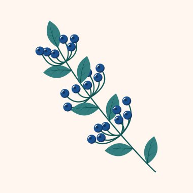 Yabanmersini. Kış bitkisi Kış dalları ve yaprakları. Kış çiçekleri. Tatil dekorasyonu. Vektör illüstrasyonu