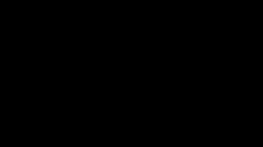 Dairesel havai fişek animasyonu. Havai fişek hattı patlama animasyonu. Parlak daire patladı ve havai fişek patladı. Soyut havai fişek patlaması. Kıvılcım efektleri. Alfa kanalı ile şeffaf arkaplan