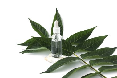 Boru şişesi ve bir yaprak.