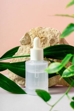 Yeşil yapraklı güzellik ürünü kabı sunumu