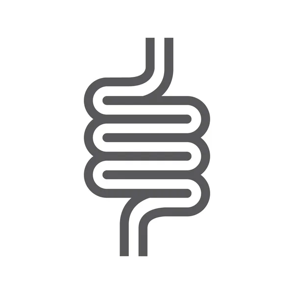 Intestines symbol or icon — Stock Vector