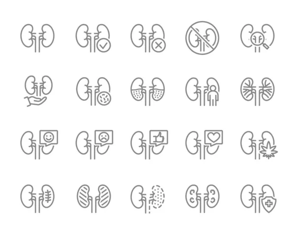 Set of human kidneys line icon. Healthy internal organ, diagnosis, treatment and more. — Stock Vector