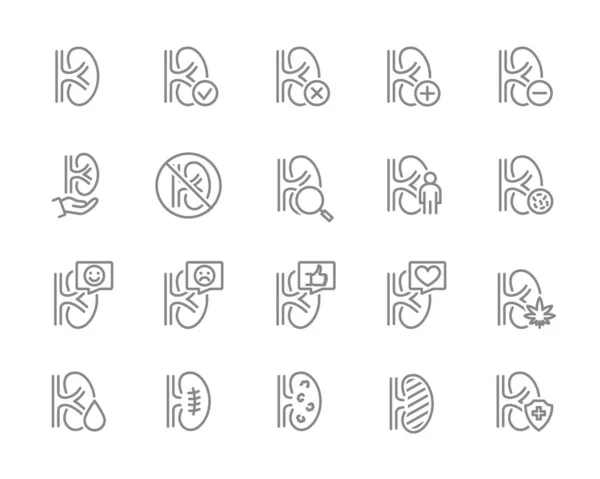 Set of human kidneys line icon. Healthy internal organ, organ responsible for filtering blood illness, diagnosis, treatment and more. — Stock Vector