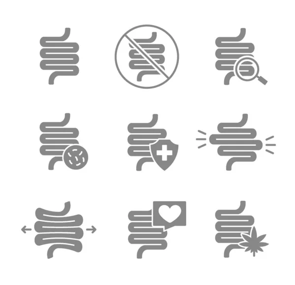Set di icone grigie dell'intestino umano. Organo interno sano, malattia del tratto digestivo, diagnosi, simbolo di trattamento — Vettoriale Stock