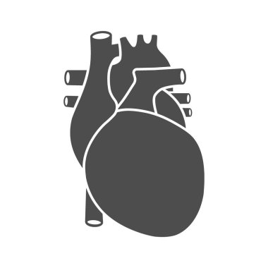 İnsan kalbi sembolü. İnsan iç organ simgesi.