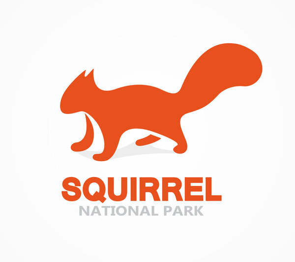 Vector squirrel logo or icon