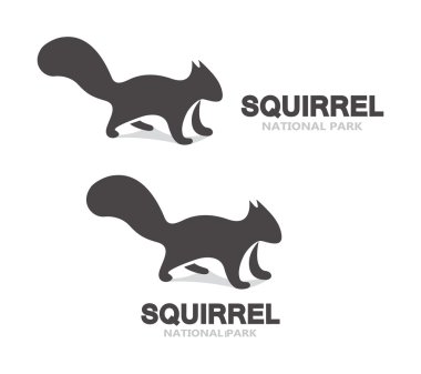 Vektör gri sincap logo veya simgesi