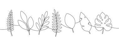 Tropikal yaprakların tek çizgi minimalist çizimi. Canavar, palmiye ve muz yaprakları. Botanik temalı, modern ve dekoratif tasarım projeleri için zarif kontür biçimi.