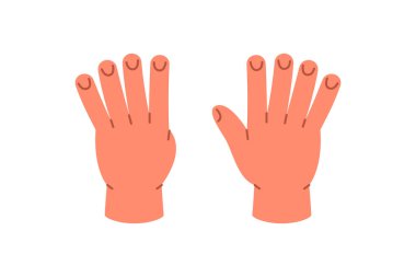 Bir elinde beş, diğer elinde dört parmağı olan dokuz numara için el hareketi. Görselleri, anaokulu kitaplarını ve sayı posterlerini saymak için mükemmel.