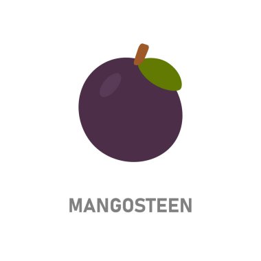 Mangosteen meyvesi. Basit tropikal meyve, sağlıklı yiyecekler, botanik sanatı ve egzotik ürünler için ideal..