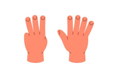 Düz çizim, 8 numarayı parmaklarıyla temsil eden elleri gösteriyor. Erken eğitimde çocuklara sayı saymayı, saymayı ve matematik kavramlarını öğretmek için birebirdir.