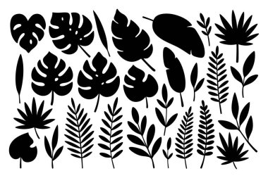Siyah tropikal yaprak siluetleri koleksiyonu. Canavar, muz yaprağı ve palmiye yaprakları. Kalıplar, duvar sanatı, markalaşma ve tropik dekoratif projeler için harika..