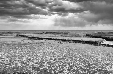 Dalgalar dalgalar alçak gelgitte plajdaki düz kayaların üzerinden yayılır.