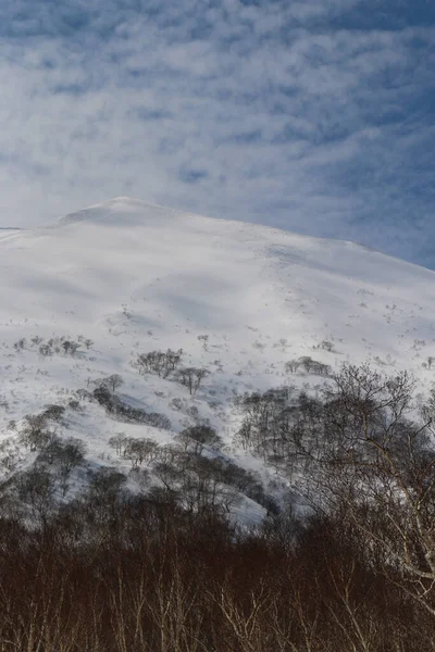Summit Snowcapped Annupuri Niseko Japan Winter Blue Sky — Φωτογραφία Αρχείου