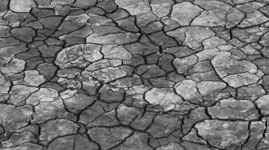 Çırılçıplak, kurumuş nehir yatağında kırılmış çamur.