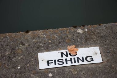 Tek sonbahar yaprağı ve beton nehir kıyısında balık tabelası yok.