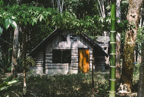 Tropik bir adada plaj bungalov — Stok fotoğraf