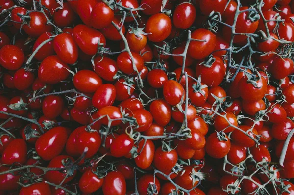 Group of fresh tomatoes — Stock Photo, Image