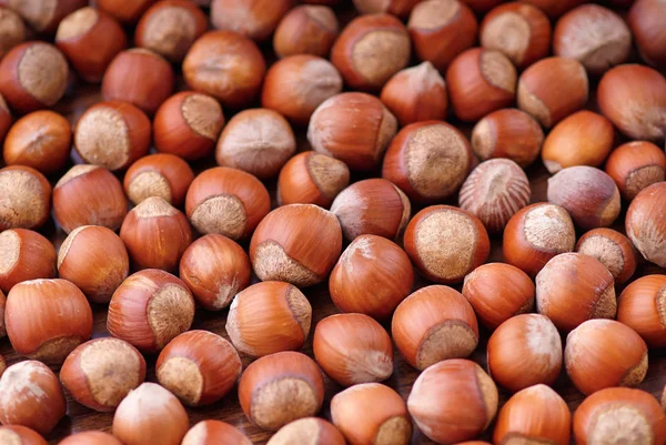 Dried Hazelnuts in closeup — Stock Photo, Image