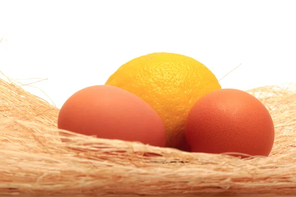 Golden egg with lemon in a makeshift nest. On a white background — Stock Photo, Image