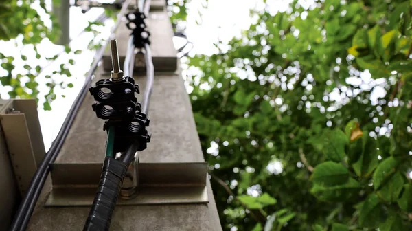 Clamp the ground wire and the wires on the pole. On green leaf background Close focus and select an object