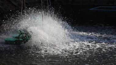 Gölette dönen havacılar. Kapalı sistemdeki oksijen veya atık su arıtma miktarının artırılması, sabahları su yüzeyine çarpıp dağılması anlamına gelir.