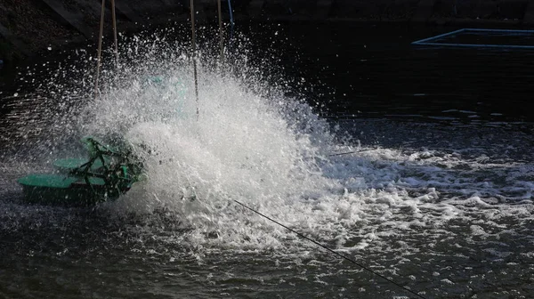 Gölette dönen havacılar. Kapalı sistemdeki oksijen veya atık su arıtma miktarının artırılması, sabahları su yüzeyine çarpıp dağılması anlamına gelir.