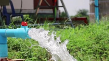 Su PVC borularından akar. Tarım çiftliğindeki plastik borulardan gümüş yeraltı suları fışkırıyordu..