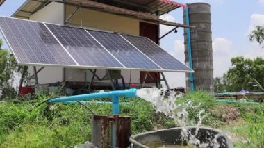 PVC borusundan su akar. Gümüş yeraltı suyu, Smart Farm güneş panelinden gelen güneş enerjili bir su altı pompasıyla pompalanır..