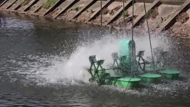 一个在池塘里旋转和停止的水轮机 利用水轮机在闭合系统池中增加氧气或废水处理 — 图库视频影像