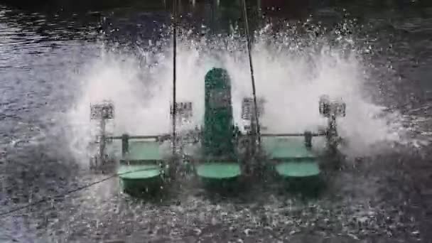 池塘里的一个桨轮通风口 用涡轮机处理封闭系统中的水 以扩散水 增加早晨或晚上的氧气量 — 图库视频影像