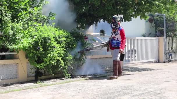 Σουρίν Ταϊλάνδη Ιουνίου 2021 Εργάτες Ψεκάζουν Ομίχλη Για Σκοτώσουν Κουνούπια — Αρχείο Βίντεο