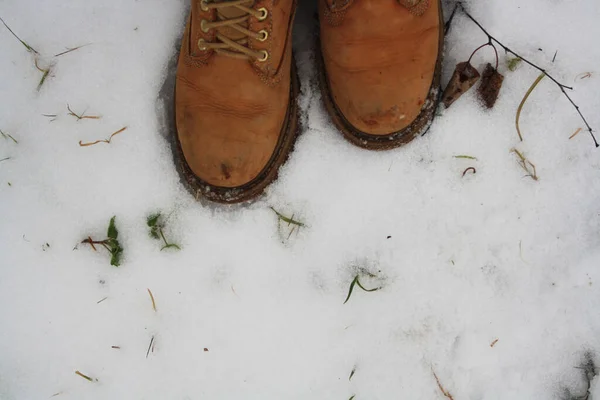 Stövlar Snön Utsikt Uppifrån Plats För Text — Stockfoto