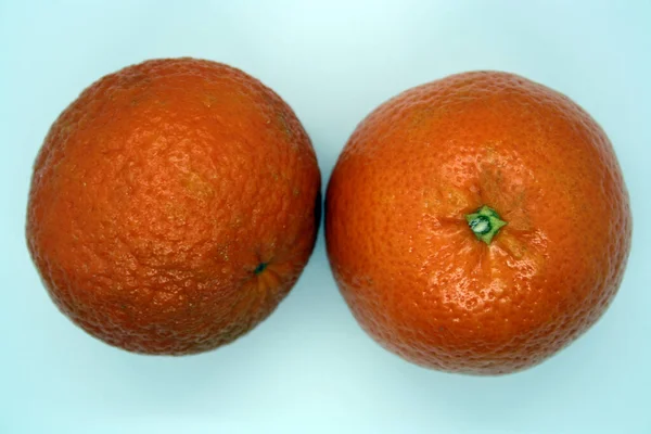 Terang Tangerine Pada Latar Belakang Putih Ruang Untuk Teks — Stok Foto