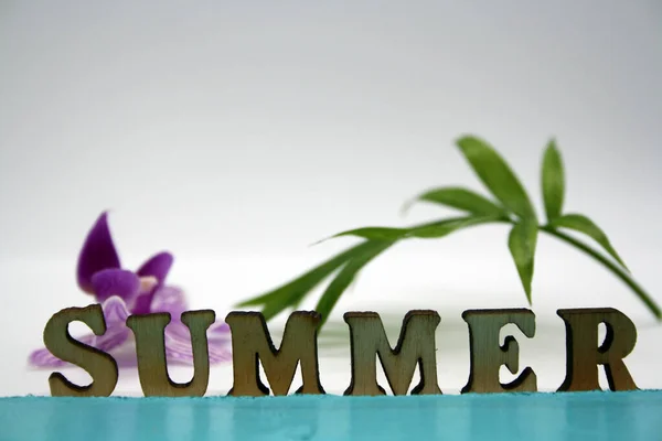 Text Sommer Und Grünes Blatt Auf Weißem Hintergrund Raum Für — Stockfoto