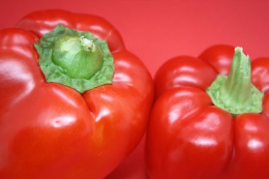 Kırmızı arka planda kırmızı bir biberin meyvesi. Metin için boşluk.