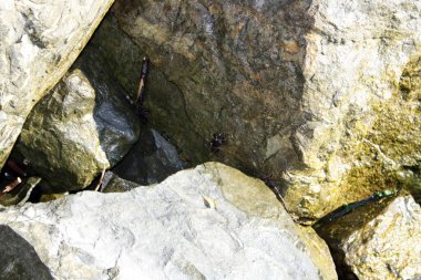 Karadeniz kıyısındaki taşlar. Doğal bir sahil..