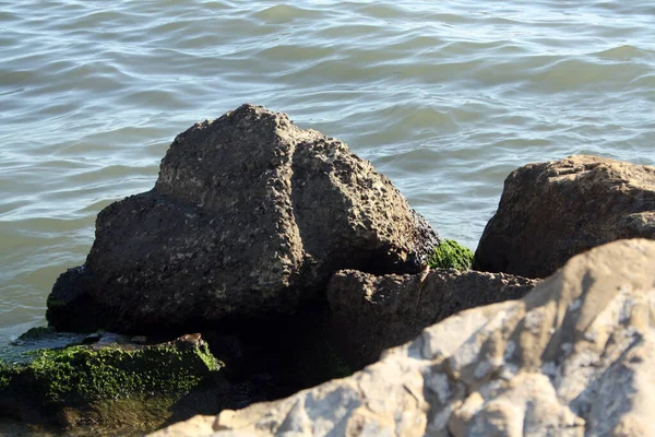 Stones Black Sea Coast Natural Beach — Stock Photo, Image