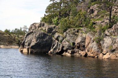 Karelian Isthmus 'un fiyortları. Vahşi doğadaki Rocky adaları. Karelia. Su ve ağaçlı manzaralar.