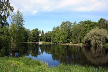 Karelian Isthmus 'un inanılmaz doğası. Karelia Ormanları.