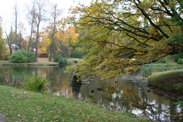 Teich Chinesischen Palast 2006 Petersburg Lomonossow — Stockfoto