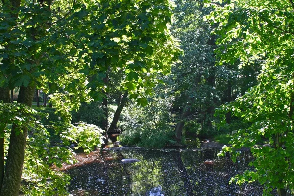 Rzeka Karasta Parku Oranienbaum Petersburg Łomonosow — Zdjęcie stockowe